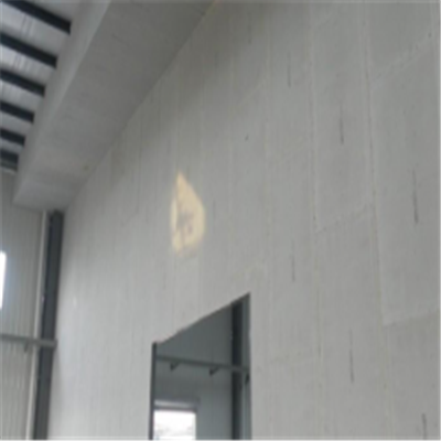 惠东宁波ALC板|EPS加气板隔墙与混凝土整浇联接的实验研讨